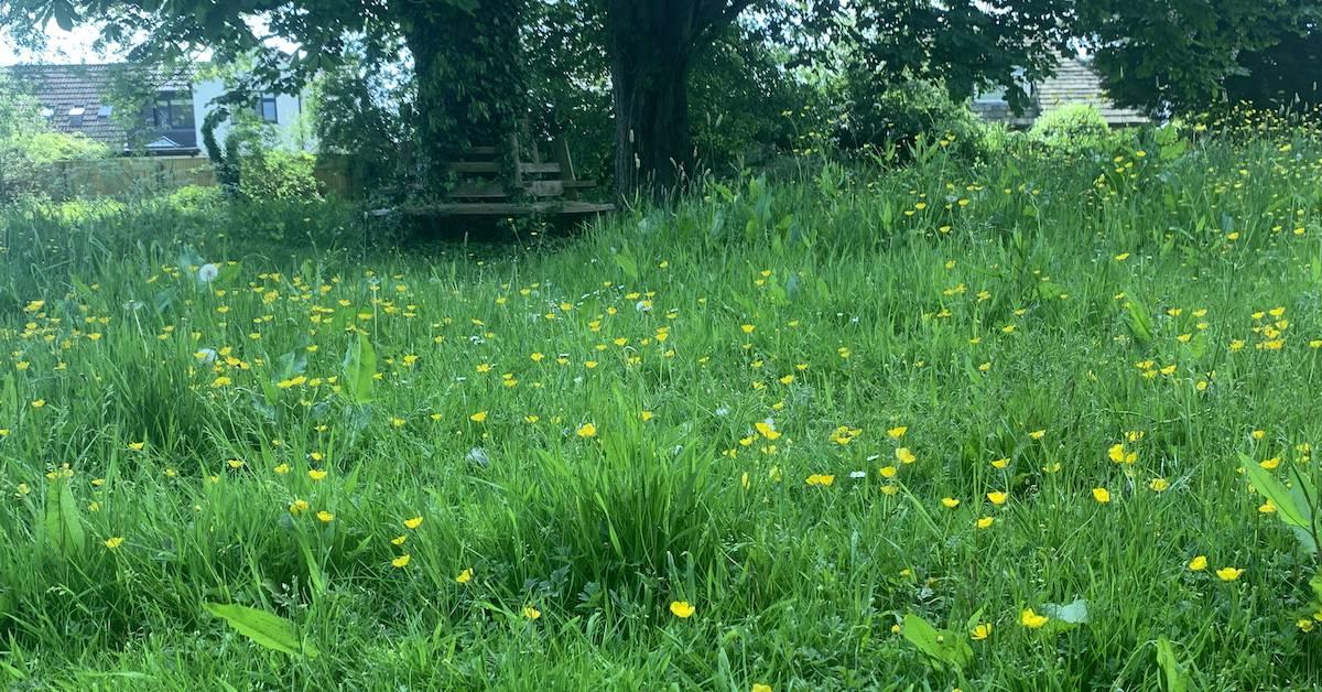 screenshot-2021-06-09-at-11-44-07