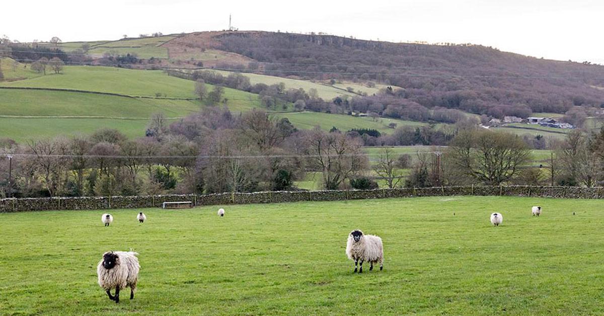 nidderdale-march-2020-1-2