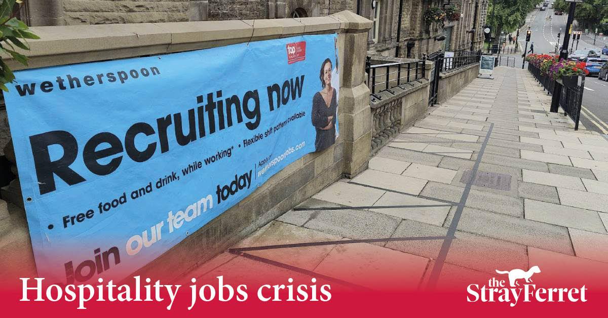 microsoftteams-image-14-6