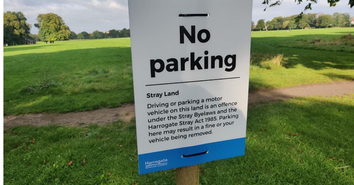 microsoftteams-image-1-11