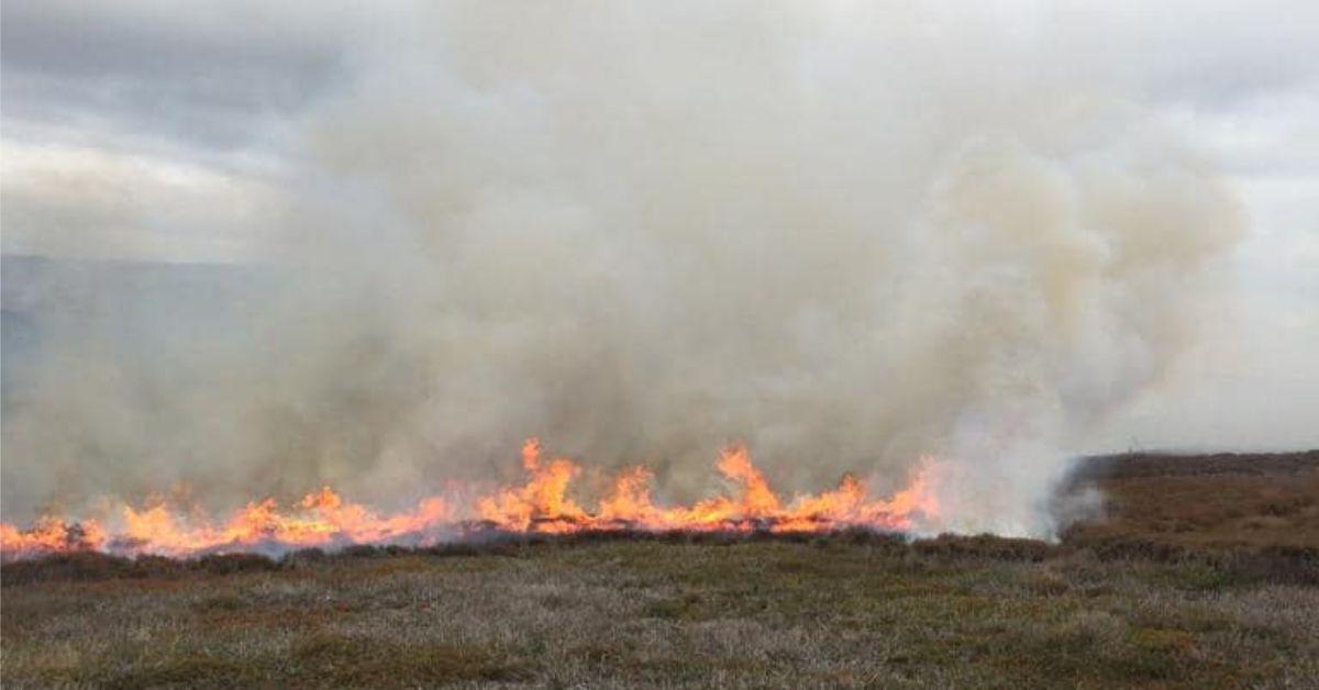 244922218_2687320894895484_5811986936531579922_n