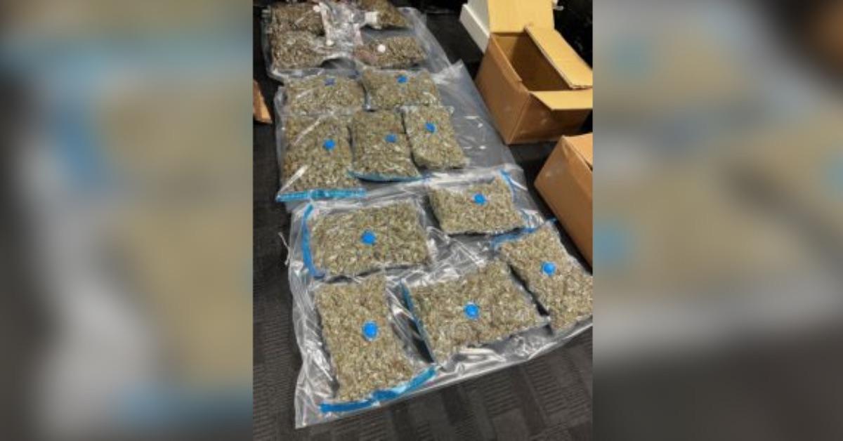 cannabis-police-seized-2