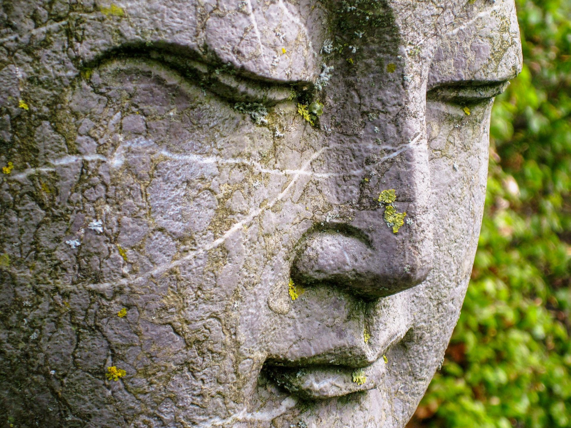 himalayan-gardens-grewelthorpe-by-mervin-straughan