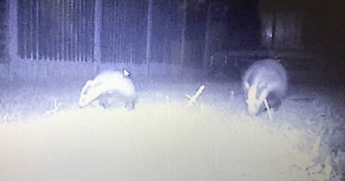 screenshot-2021-10-07-at-08-59-39