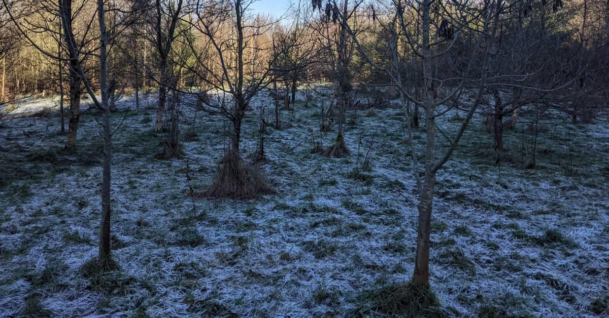 pxl_20210125_112037360-1-2