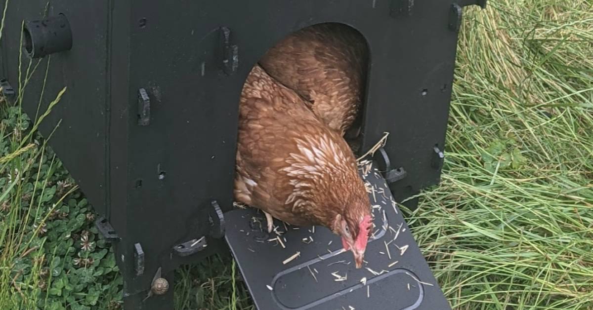 screenshot-2021-11-22-at-09-59-59