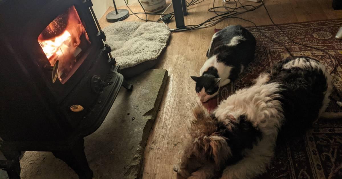 pxl_20201231_171536960-1