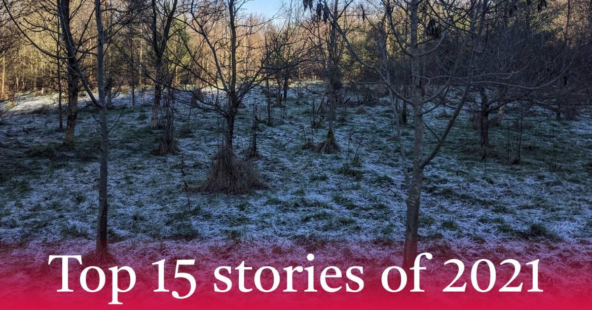 pxl_20210125_112037360-1-1