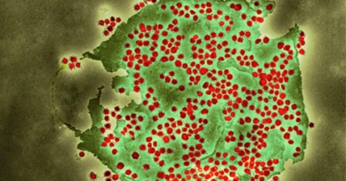 screenshot-2021-12-13-at-10-31-38