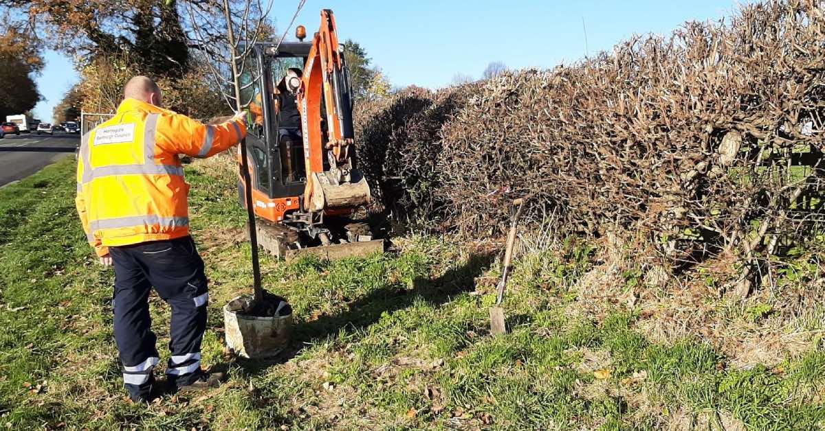 harrogate-queens-jubilee-tree-planting