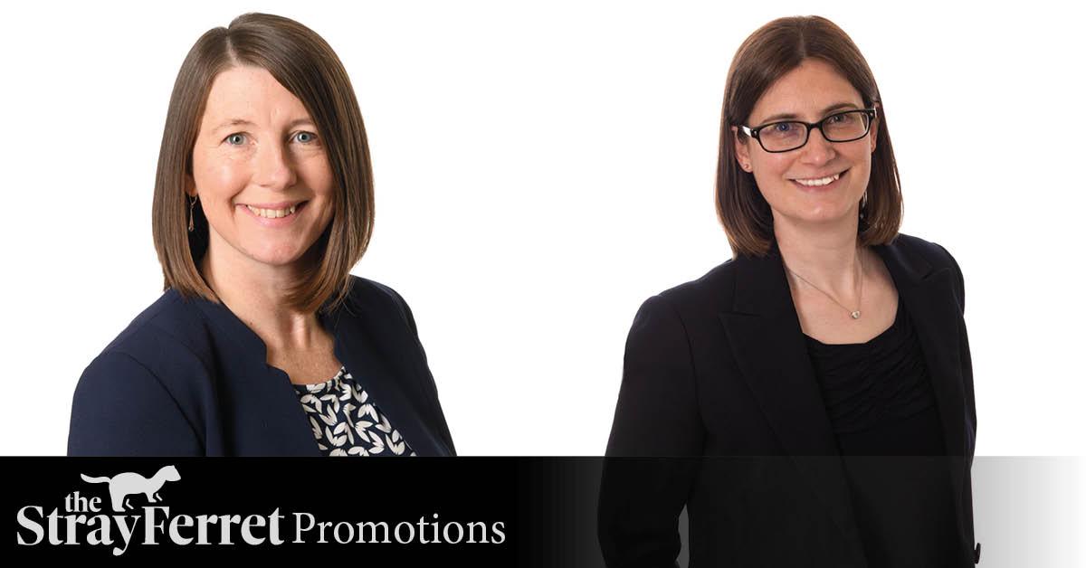 raworths-new-advertorial-header