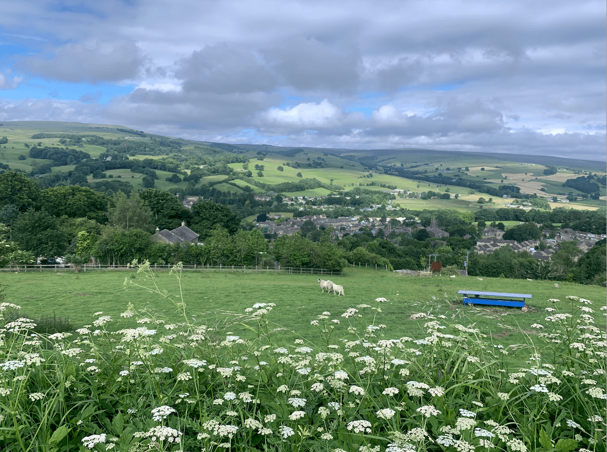 screenshot-2022-01-12-at-15-09-43