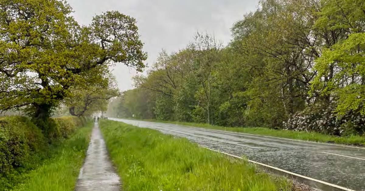 screenshot-2022-01-19-at-12-11-37