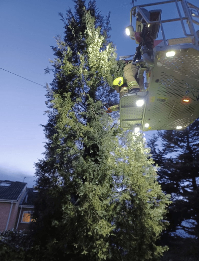 Storm Eunice Bilton tree rescue Pics: GM Tony Peel