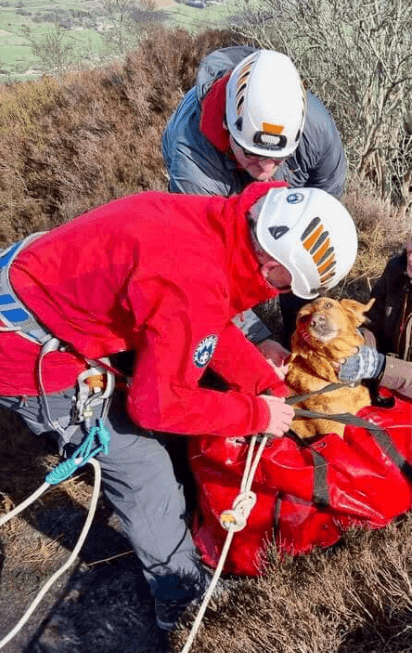 Upper Wharfedale Fell Rescue Association dog rescue