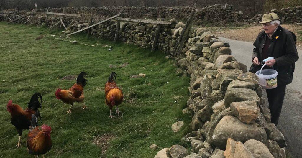 John Richmond at Cockerel corner