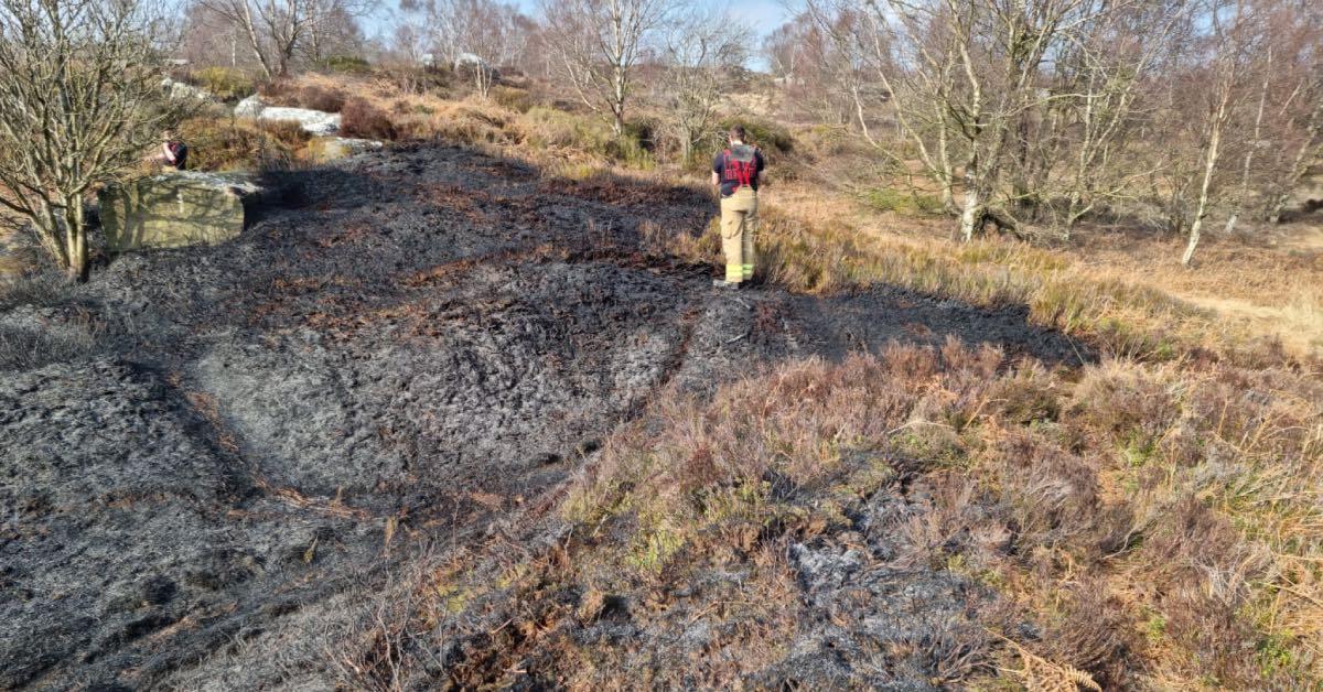 brimham-rocks-wild-fire-4