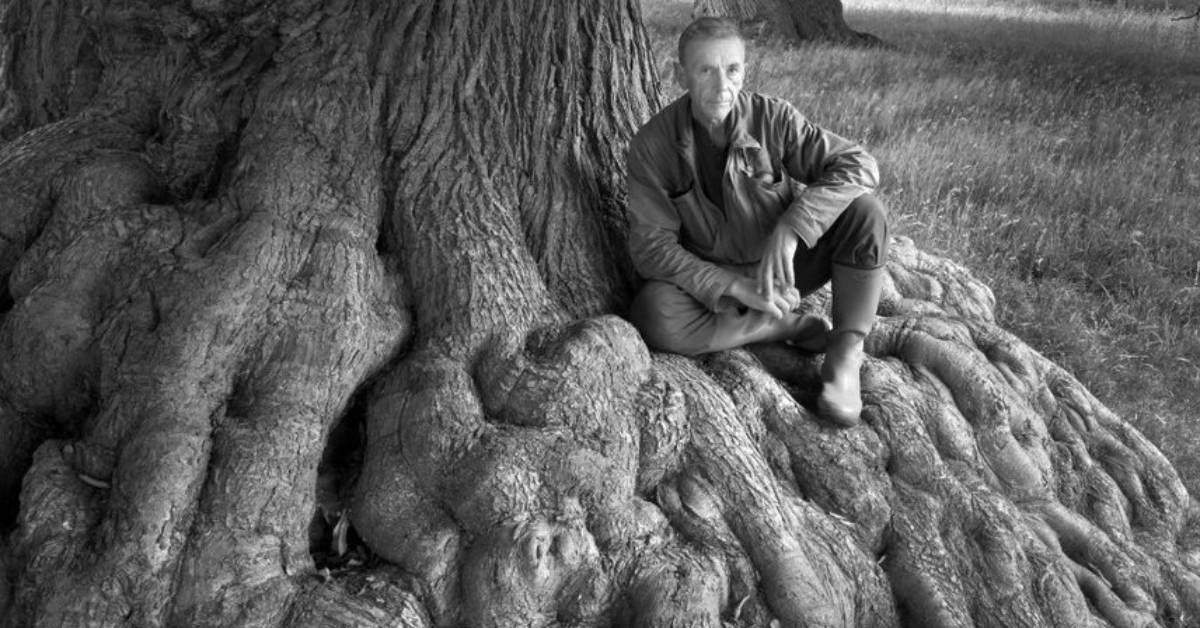 Joe Cornish, Photographer