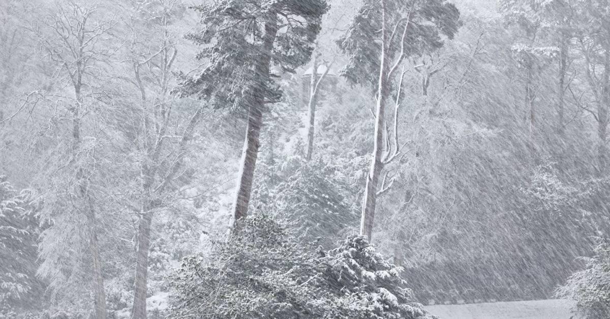 Snow storm at Fountains Abbey