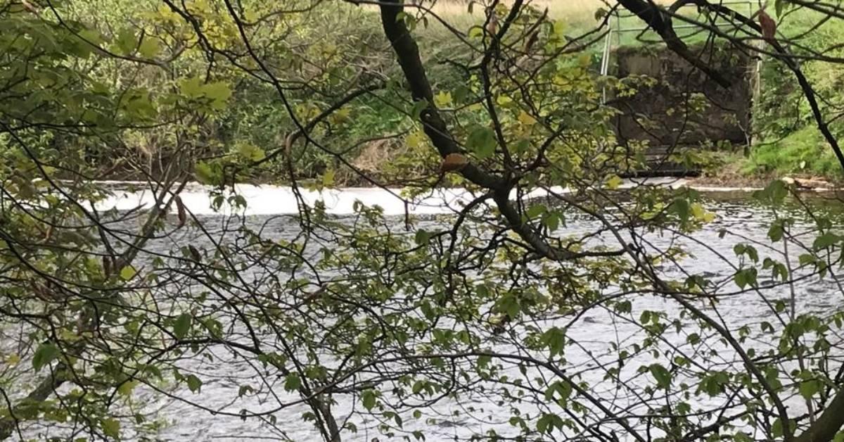 The foam substance spewing from an outlet into the River Ure