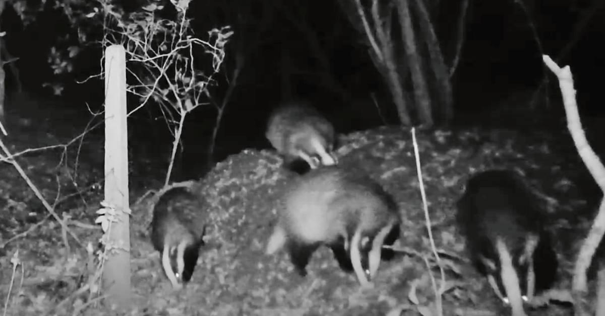 screenshot-2022-04-07-at-15-50-05