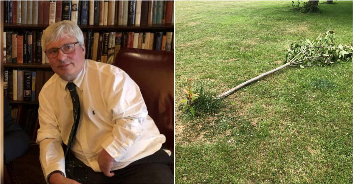 collage-maker-30-jun-2022-03-06-pm