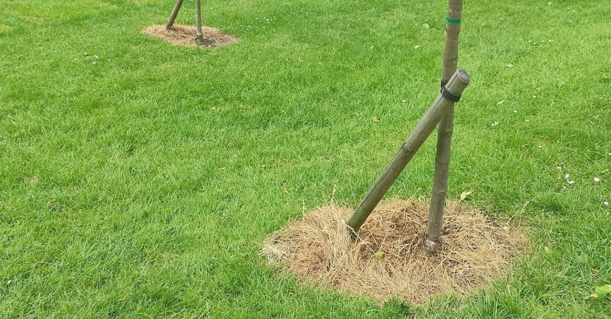 screenshot-2022-06-08-at-15-14-48