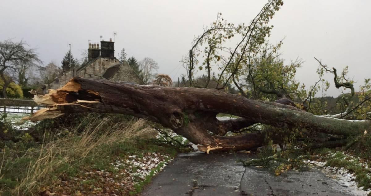 screenshot-2022-06-09-at-11-15-40