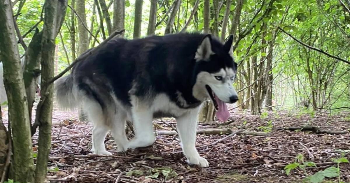 screenshot-2022-06-24-at-14-36-54