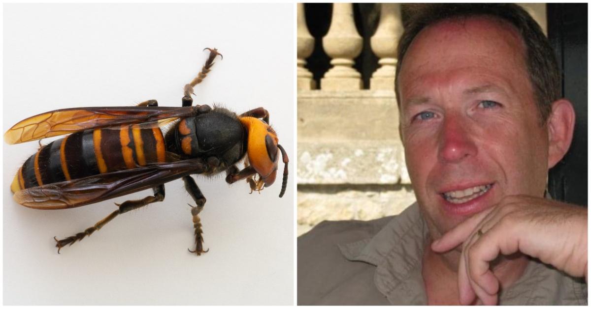 andy-johnson-and-the-hornet