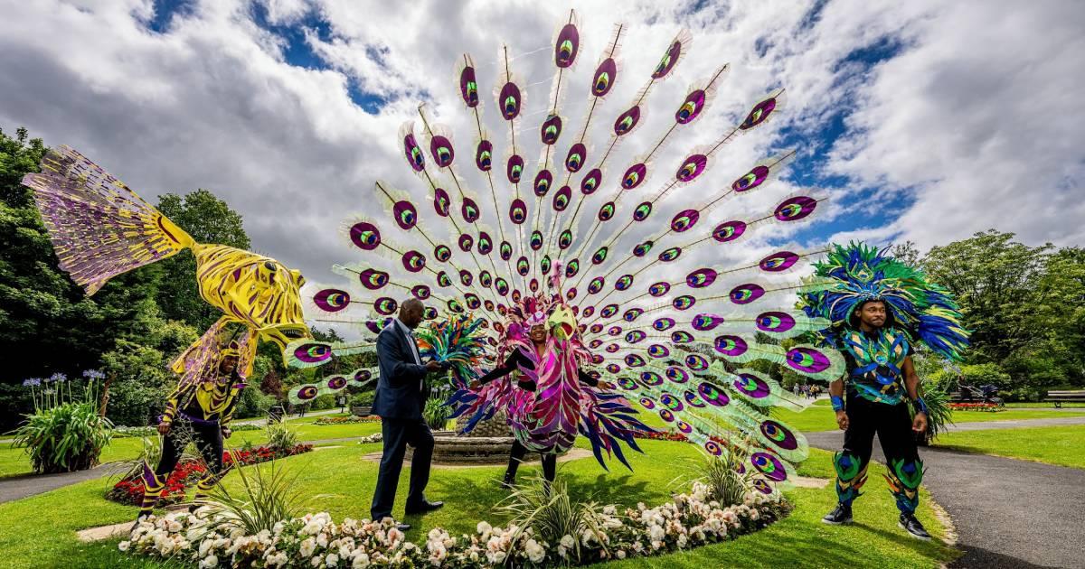 screenshot-2022-07-07-at-11-13-32