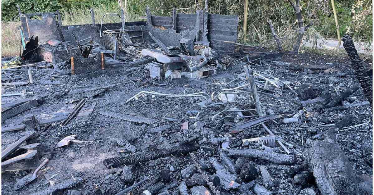 screenshot-2022-07-12-at-20-51-31