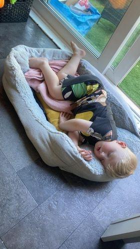 Missing Molly and Hugo, 3