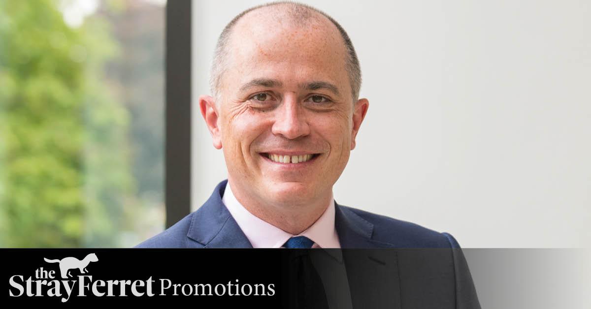 hfl-advertorial-header