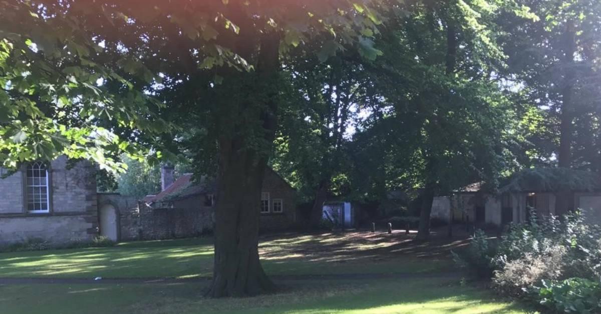 ripon-1st-august-2022-minster-gardens