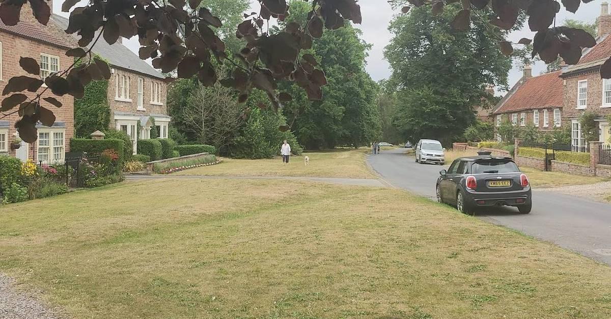 screenshot-2022-07-22-at-12-44-13-1