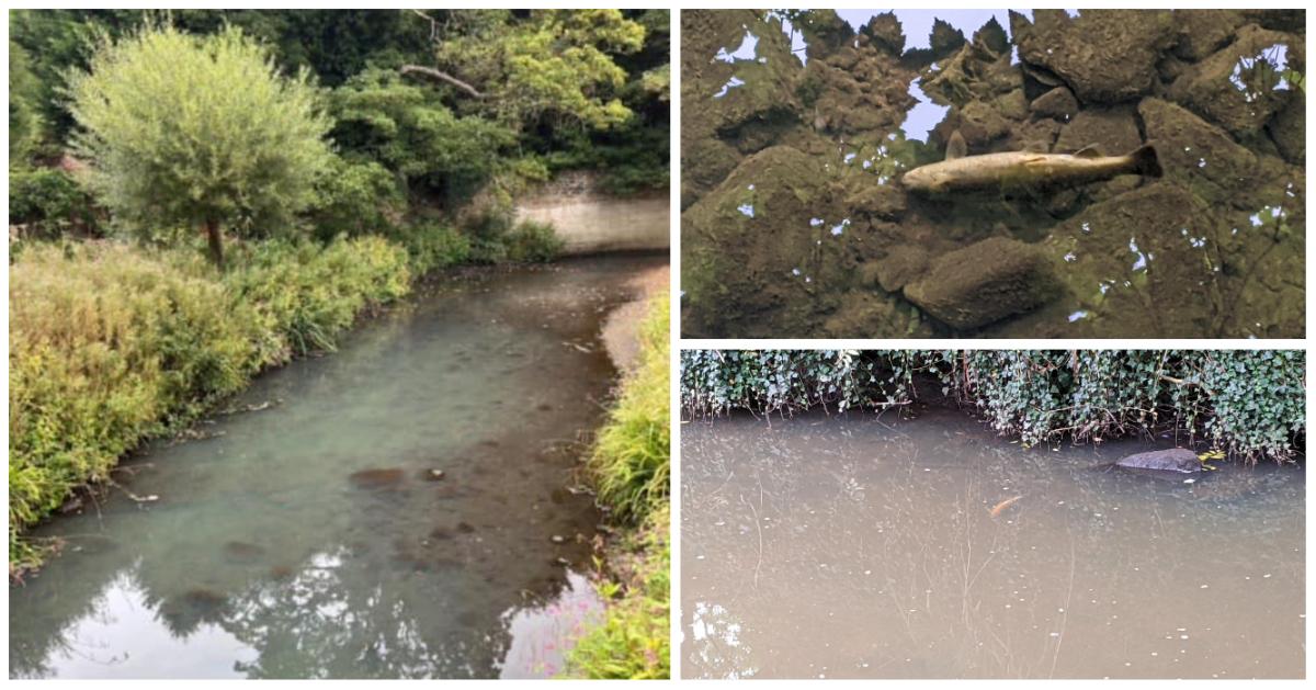 collage-maker-12-sep-2022-11-07-am