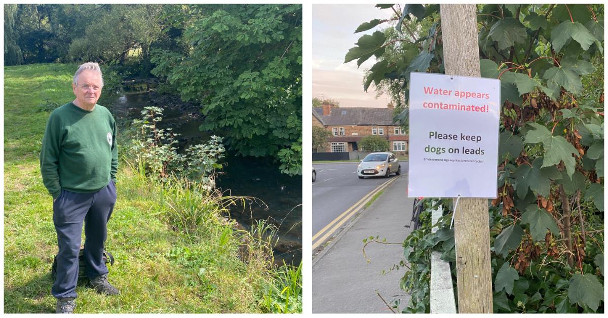 collage-maker-16-sep-2022-03-23-pm