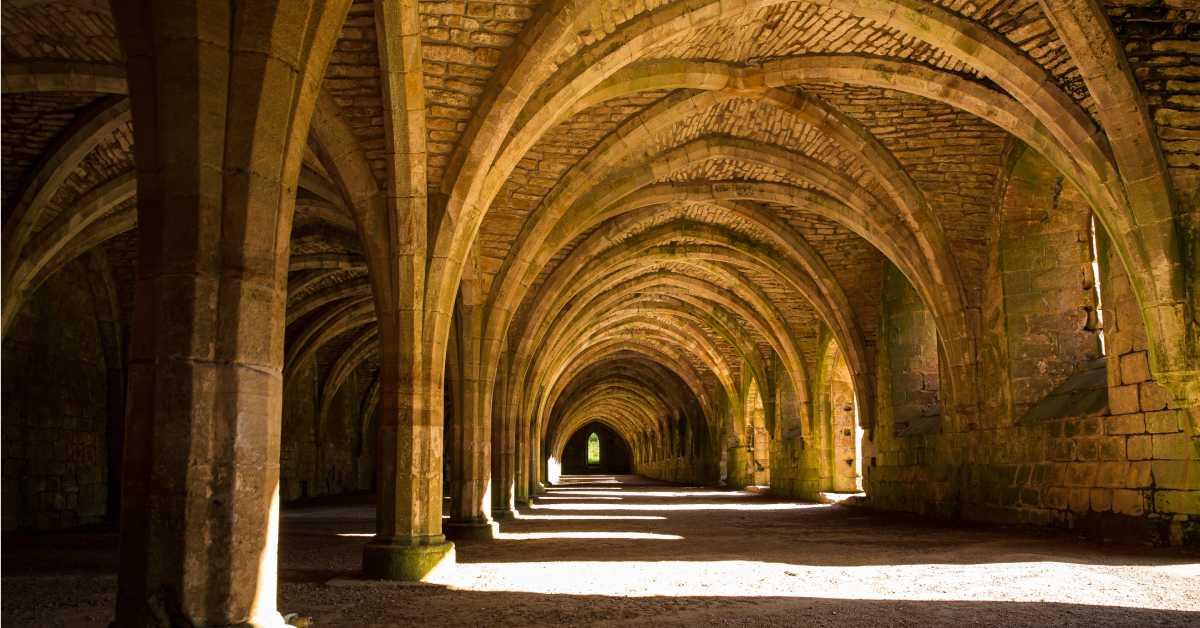 light-shines-through-the-cellarium-jpg