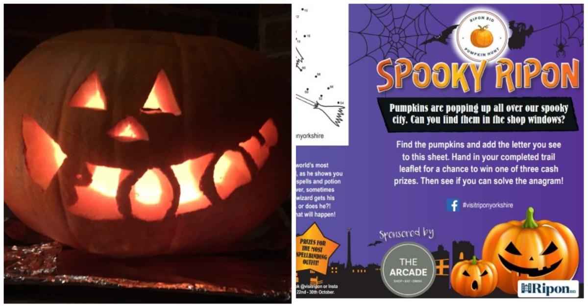 collage-maker-17-oct-2022-03-34-pm