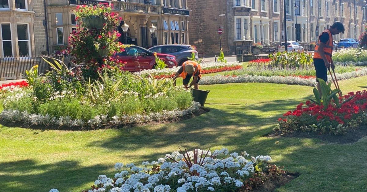 Harrogate Borough Council parks and gardens flowers