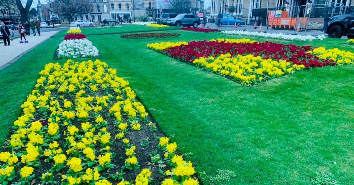 microsoftteams-image-11-5