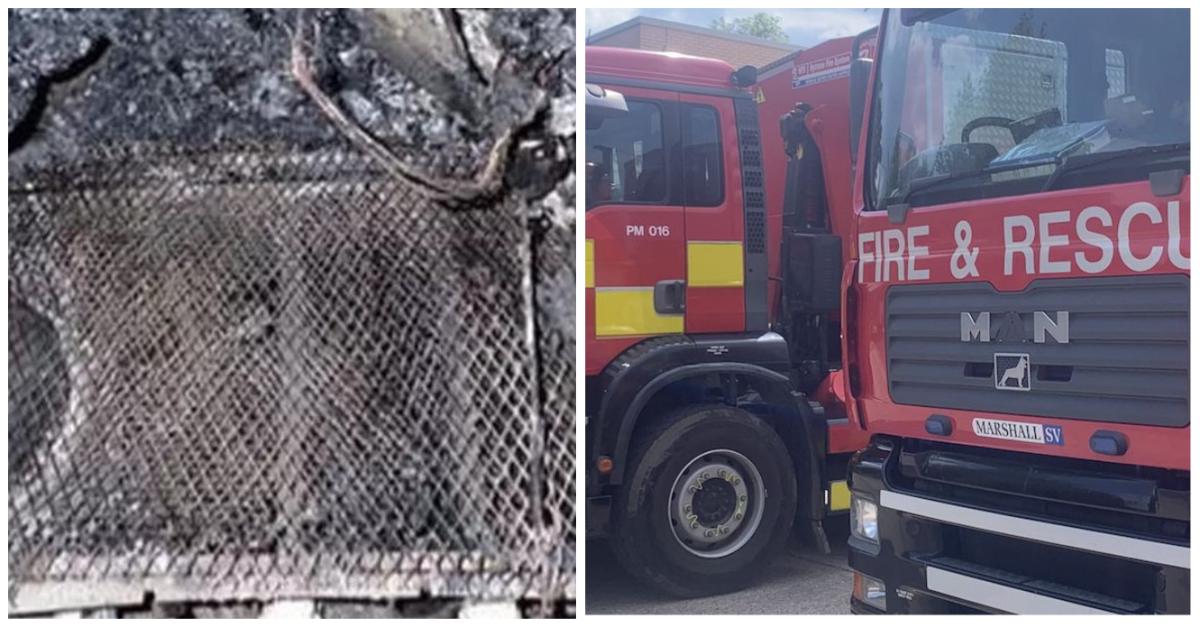 collage-maker-15-nov-2022-11-10-am