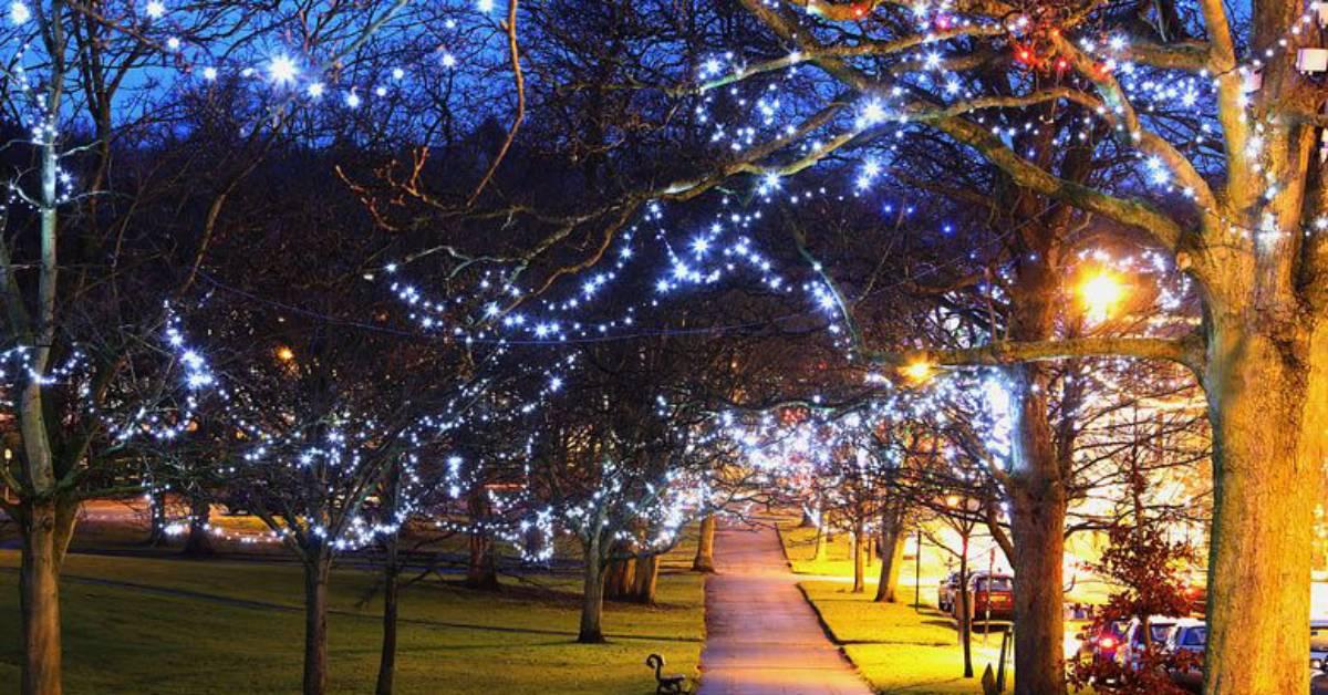 harrogate-christmas-lights-1