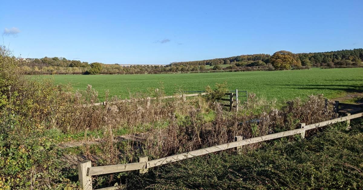 pannal-development-site