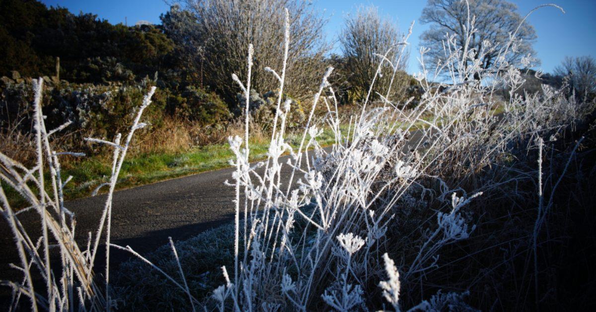 Hoar frost on Top Wath Road