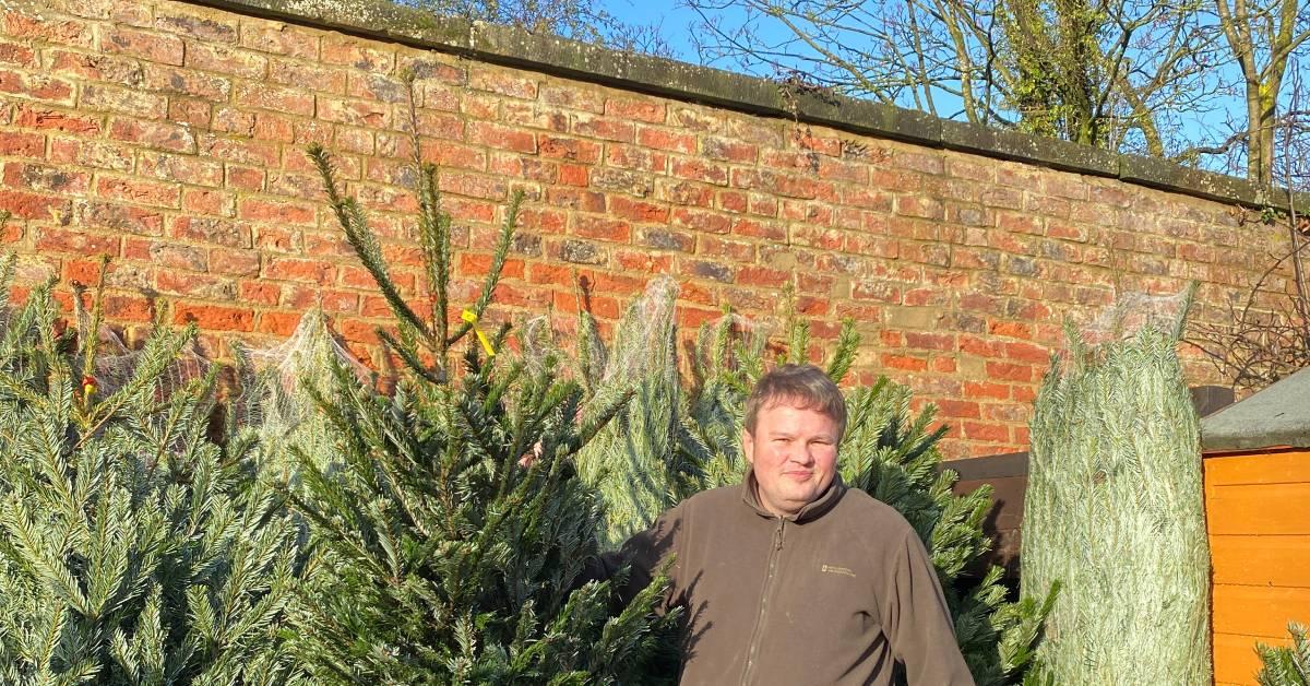 ripon-28th-dec-2022-chritsmas-tree-recycling