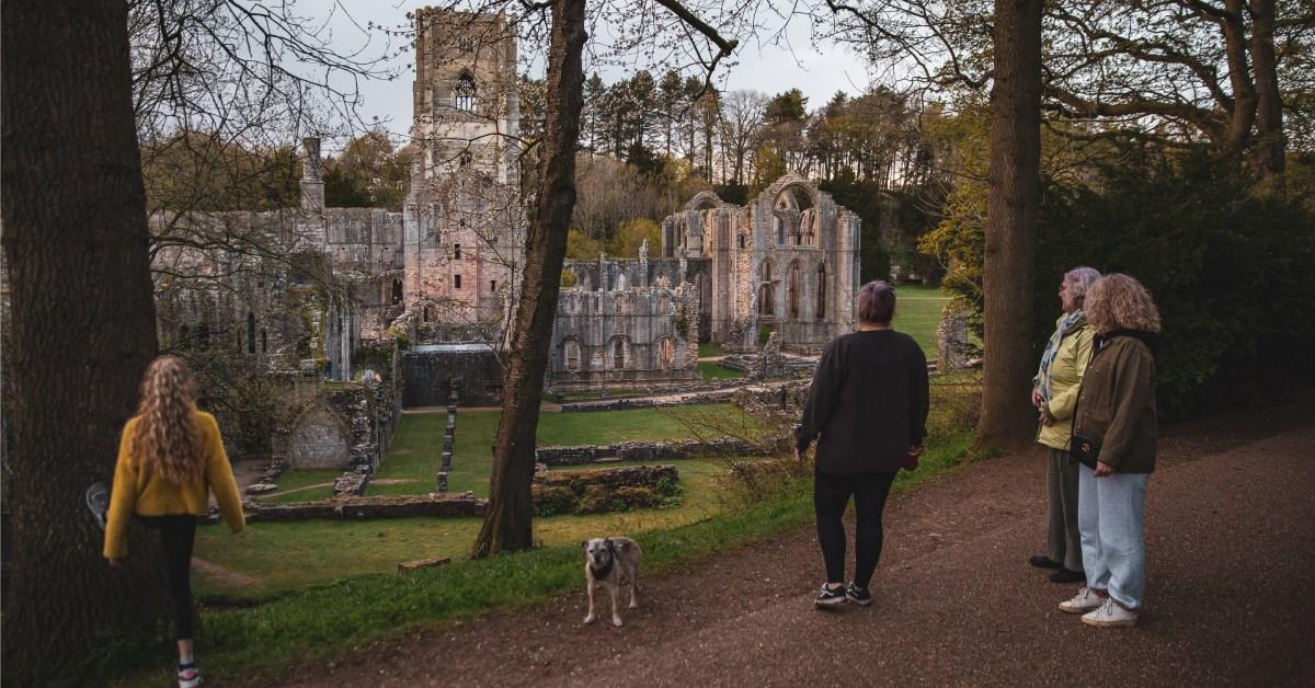 fountainsabbey-dogs1-1