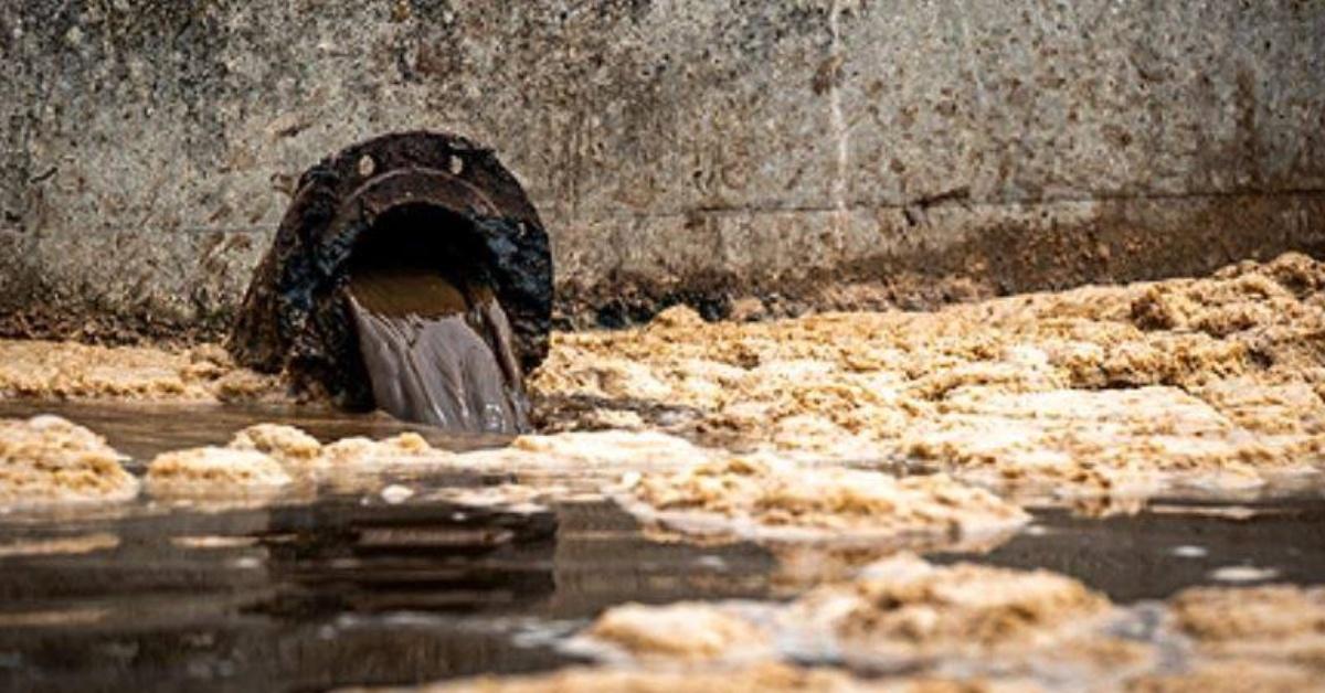 332851122_1291317524930851_7467285865111806161_n-1