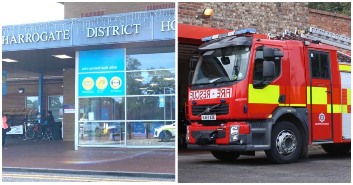 collage-maker-23-apr-2023-07-29-am-5252